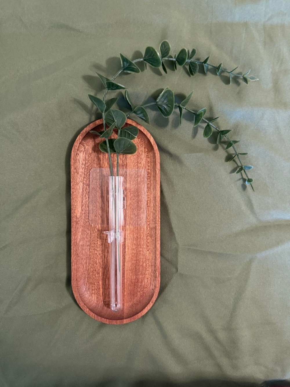 Wooden Wall Plastic Test Tube Vase in Green